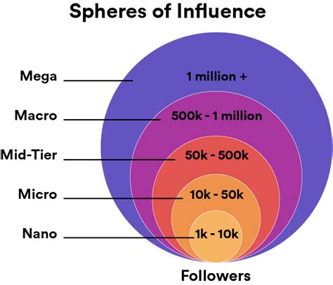 nano micro macro influenceur